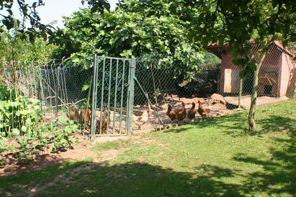 Maison d'hôtes Fonte San Pedrin à Cajide Extérieur photo